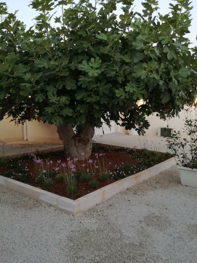 Tenuta Il Fico Hotel Porto Cesareo Exterior photo